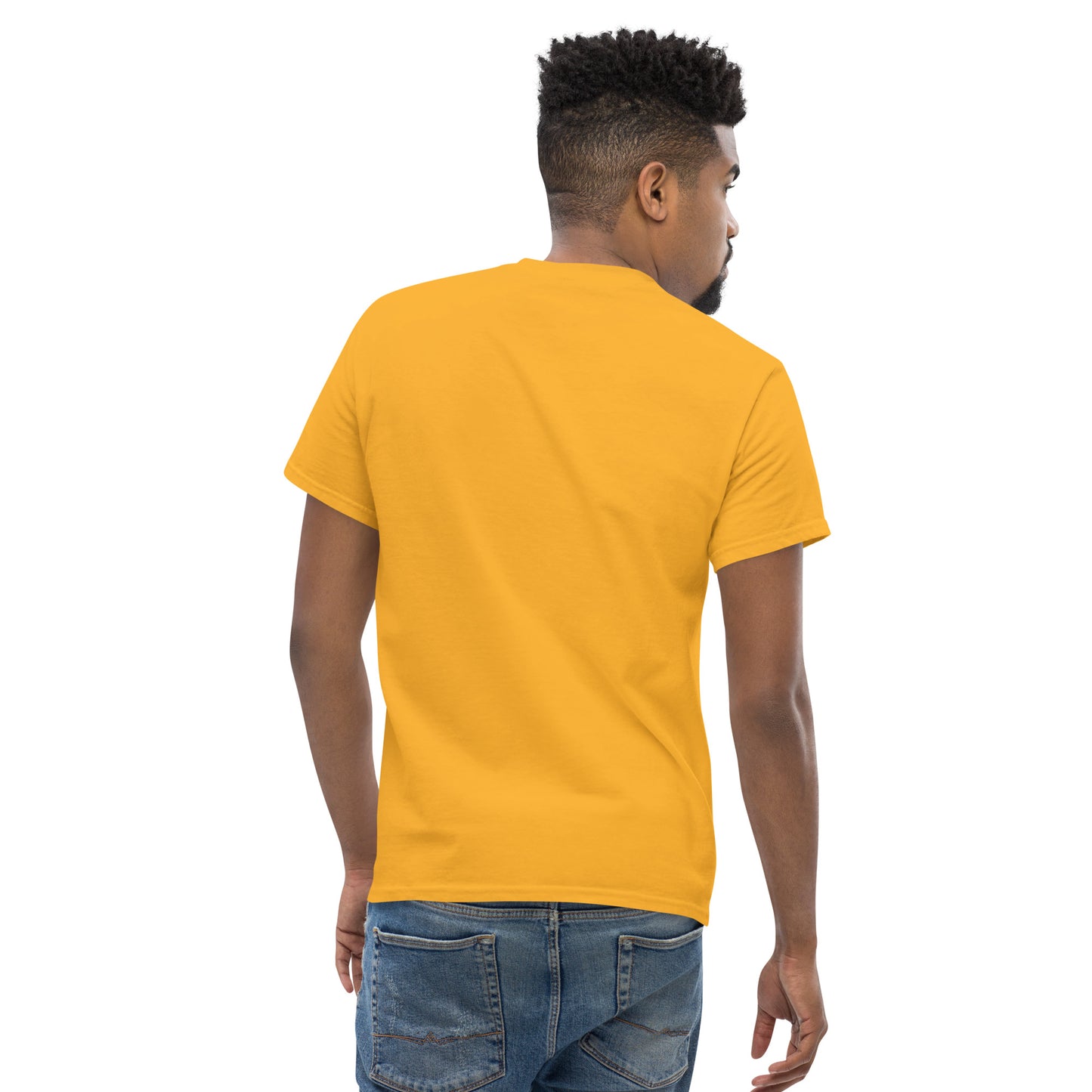 Klassisches Herren-T-Shirt FICT - verschiedene Farben